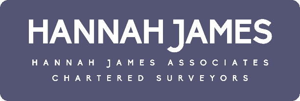 hannah james banner