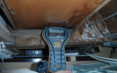 SURVEYS AND INSPECTIONS